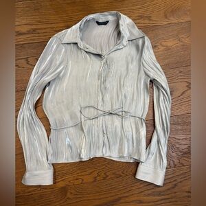 Zara Silver Button-Up Top